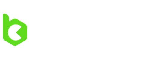 Bc.Game Review